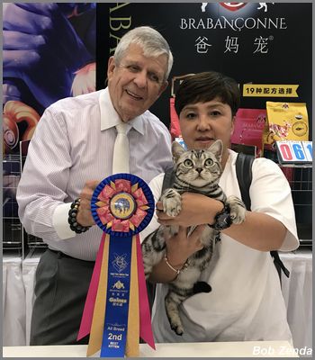 Hong Dau Jeremy